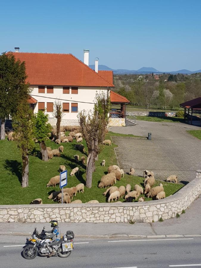 Accommodation "Old Town Dreznik" Раковица Екстериор снимка
